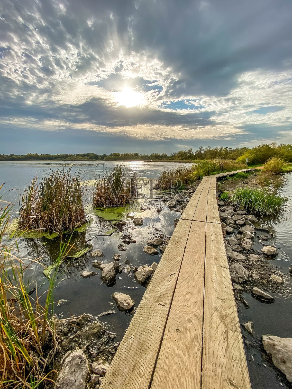 Purgatory Creek海滨栈道上令人惊叹的日落照片摄影图片
