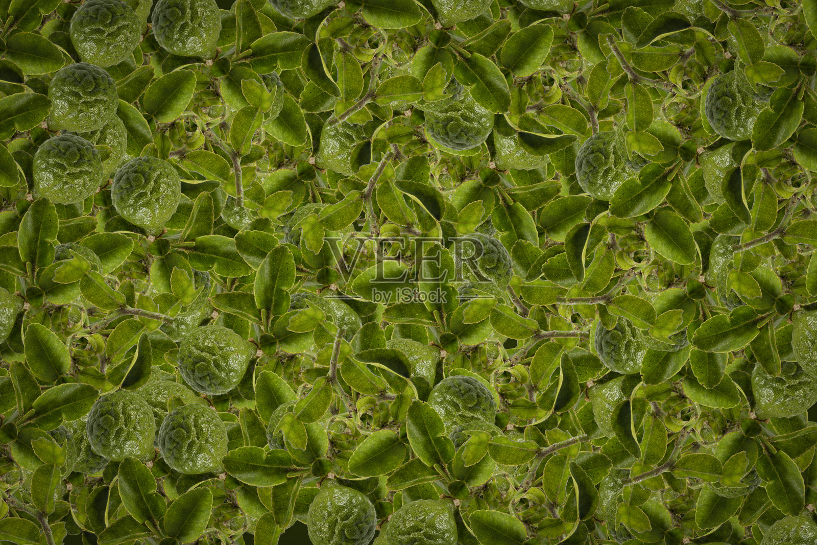 橙色水果背景。夏天的橘子。健康的照片摄影图片