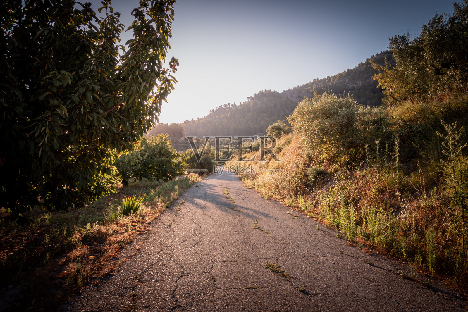 带有一些房屋和建筑物的乡村景观照片摄影图片