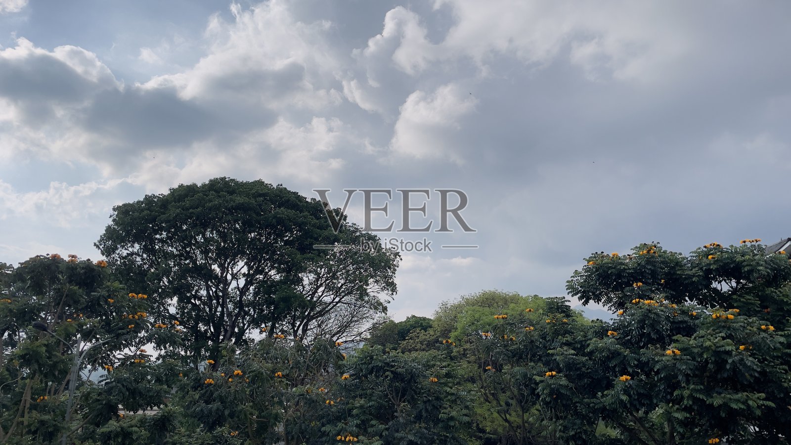 一个美丽的风景照片摄影图片