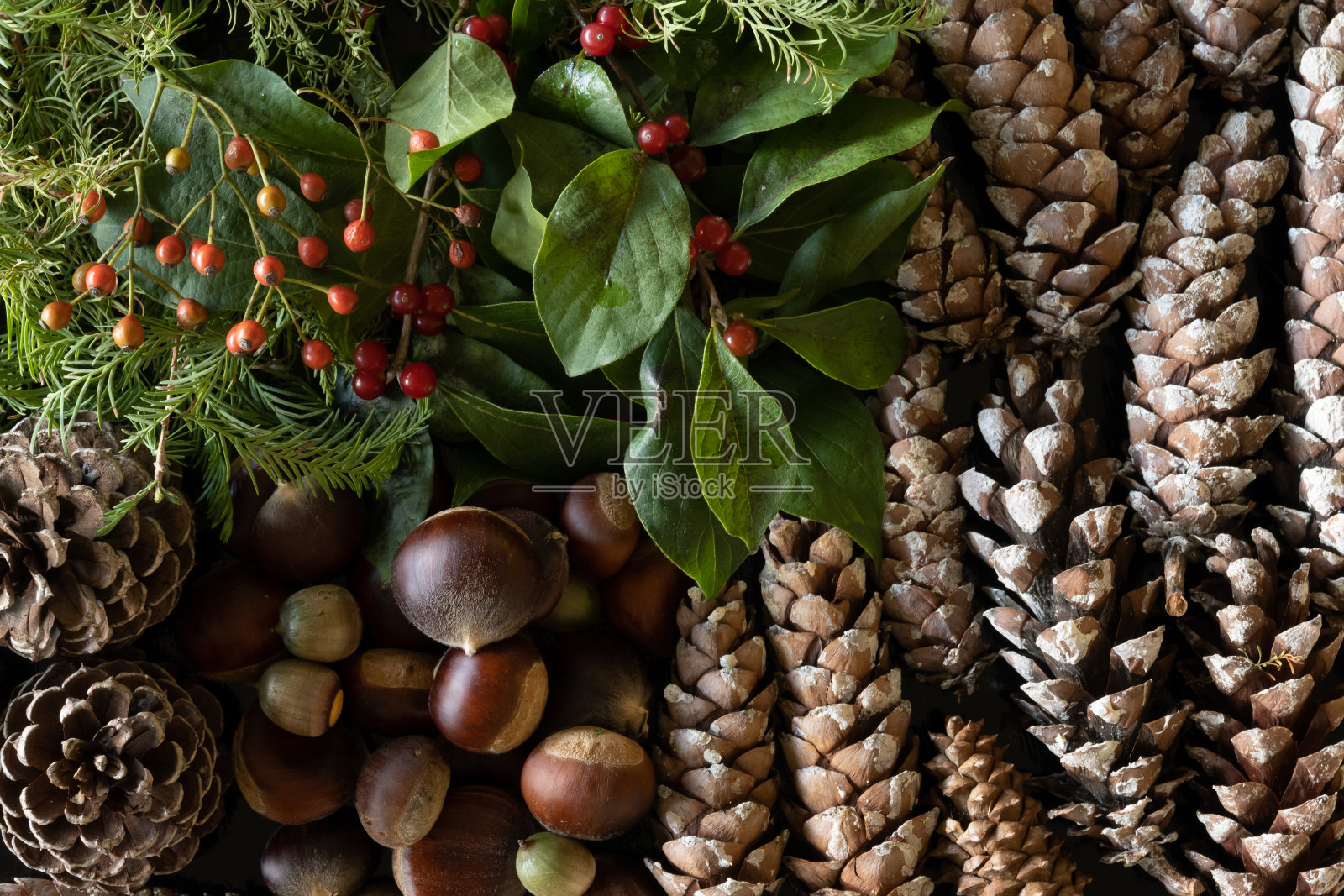 背景自然装饰圣诞饰品排列有序。照片摄影图片
