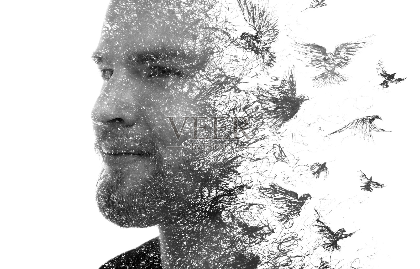 Paintography。一幅黑白人物画与水墨画飞禽相结合。照片摄影图片