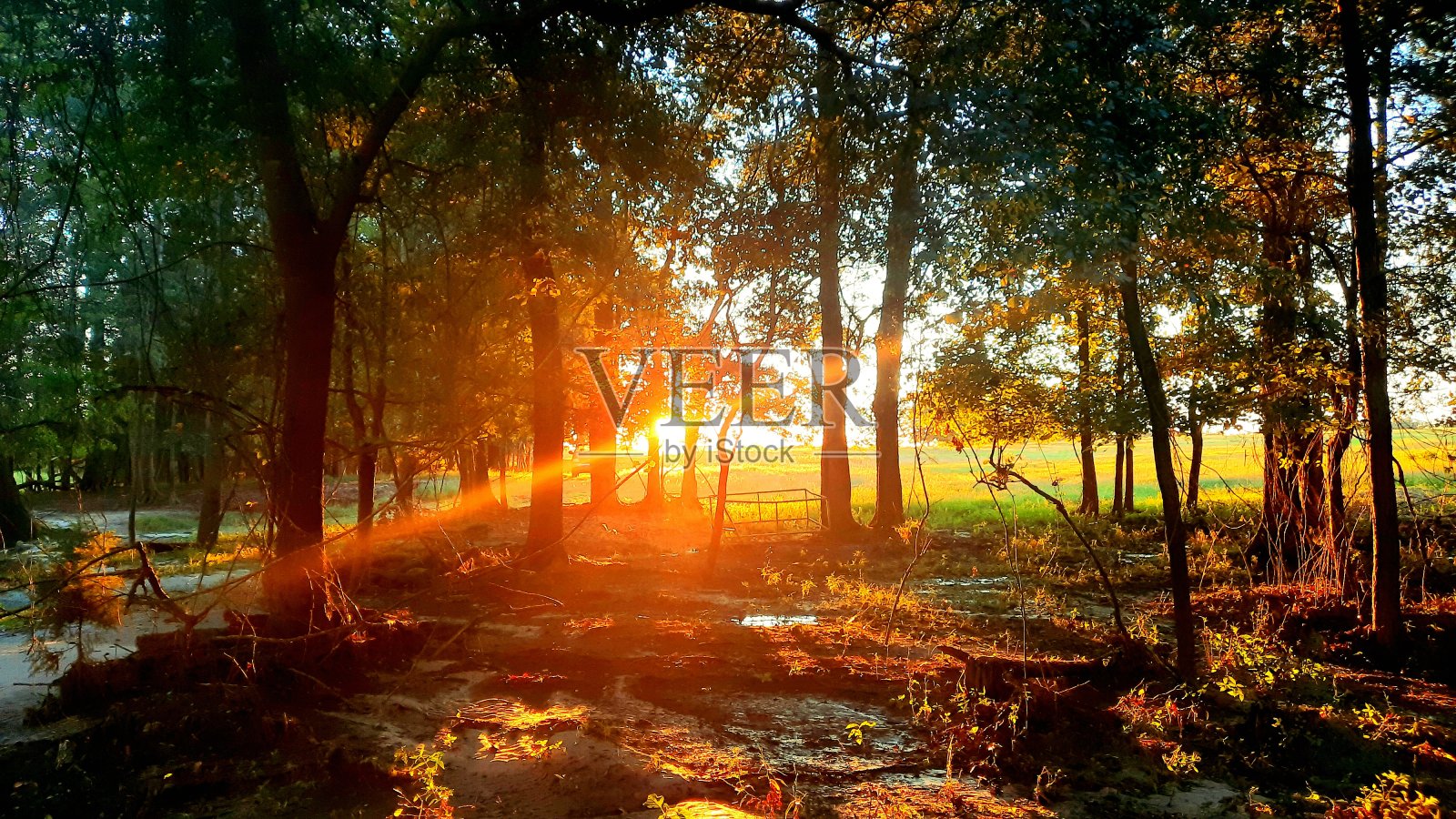 阳光照片摄影图片