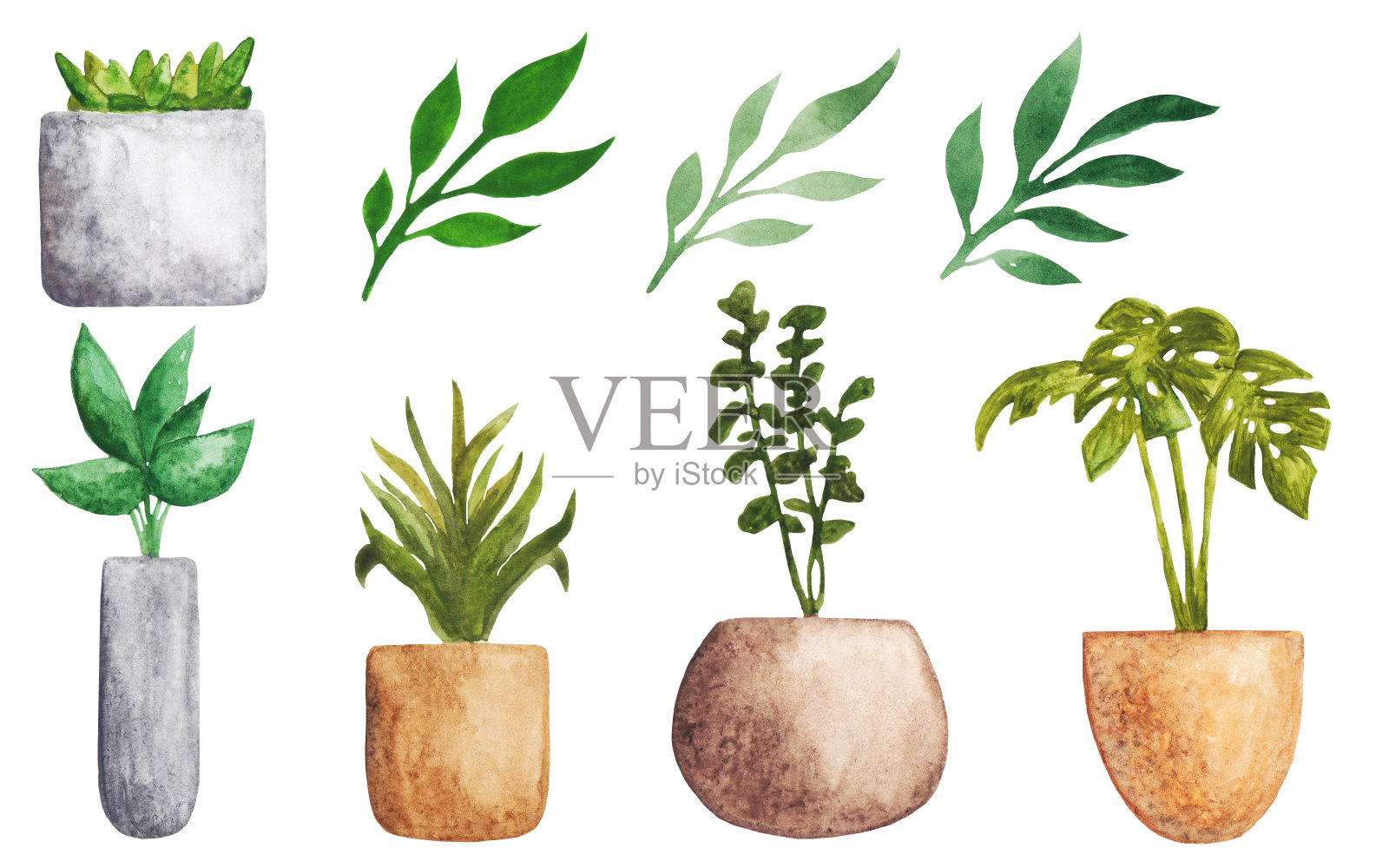 水彩植物盆栽组合：混凝土盆和陶盆中的植物，包括绿植榕树、芦荟、多肉植物、吊兰等插画图片素材