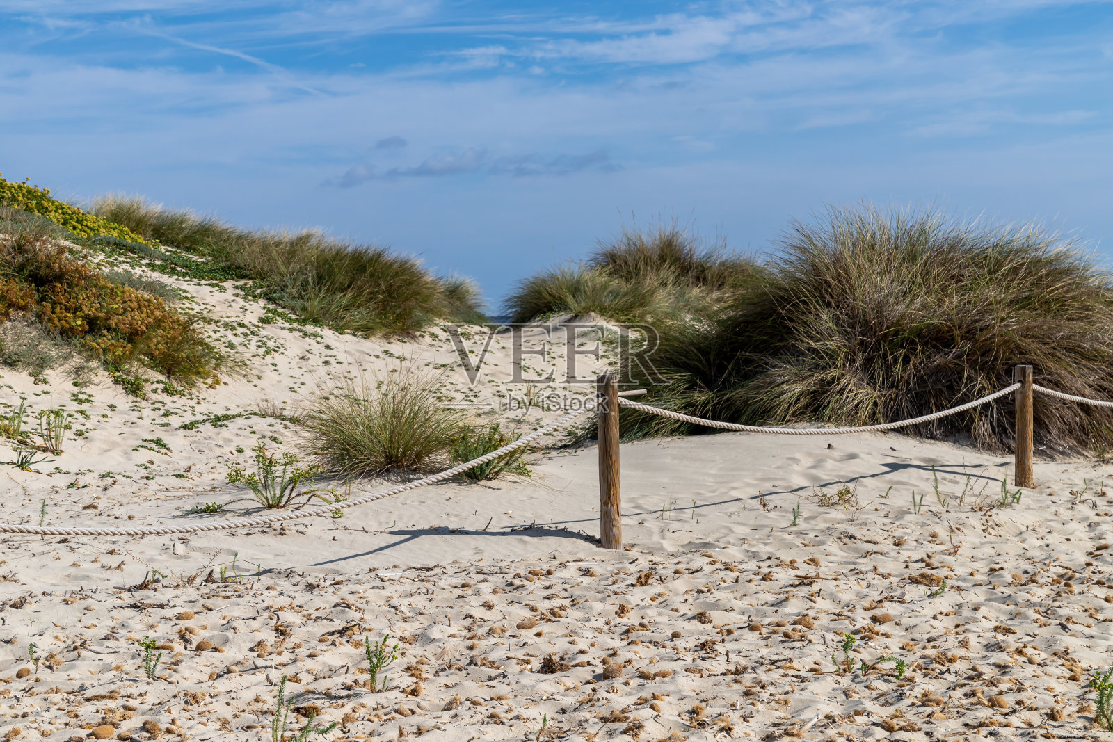 埃斯帕尔马多岛是巴利阿里群岛上保存最完好的沙丘系统。它是Salinas de Ibiza y Formentera自然公园的一部分。照片摄影图片