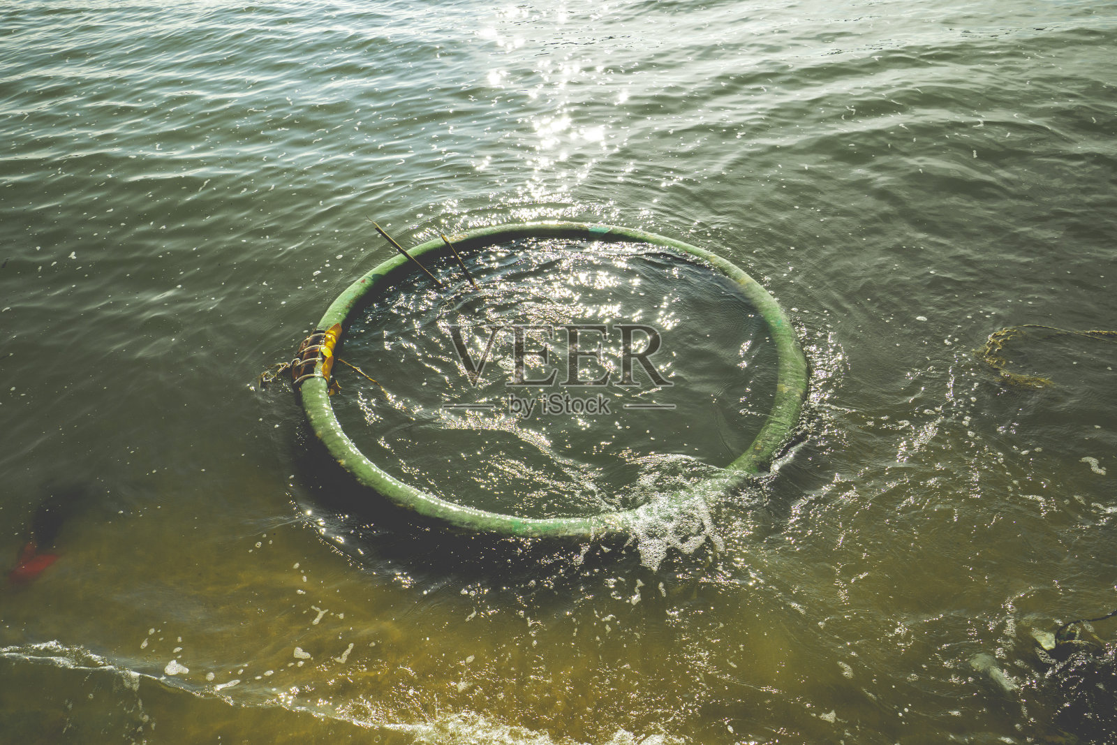 公园位于翁头市前滩照片摄影图片