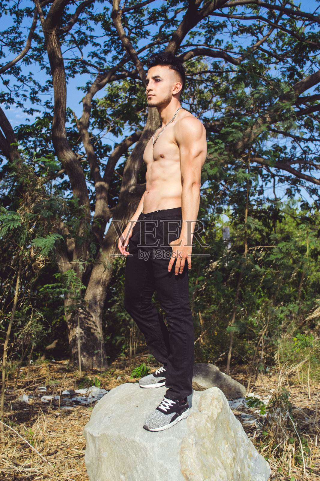 森林里的女巫照片摄影图片