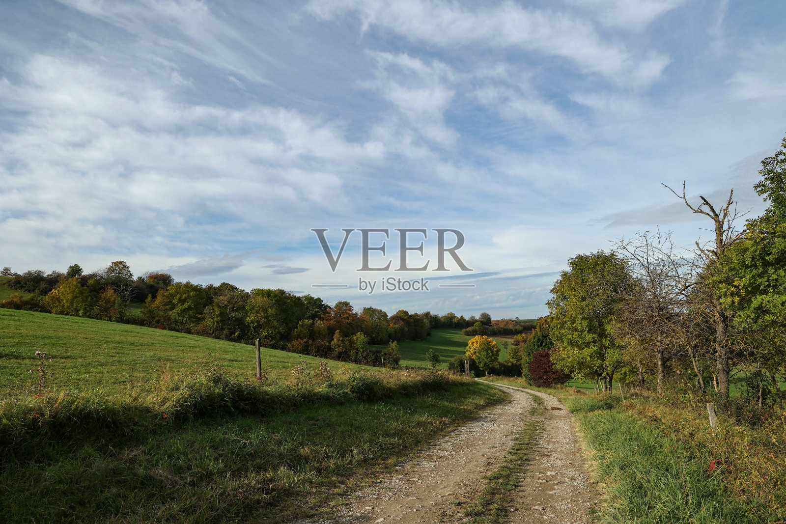 绿色草地和田野的秋景照片摄影图片