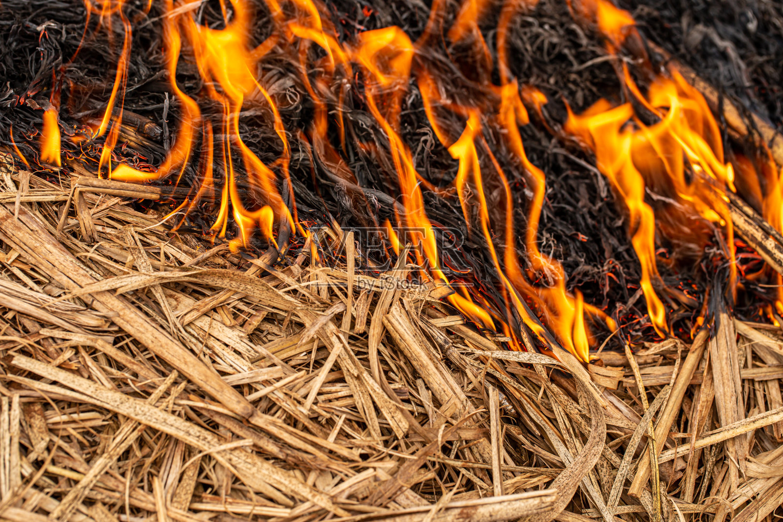 干草被烧，自然灾害。照片摄影图片