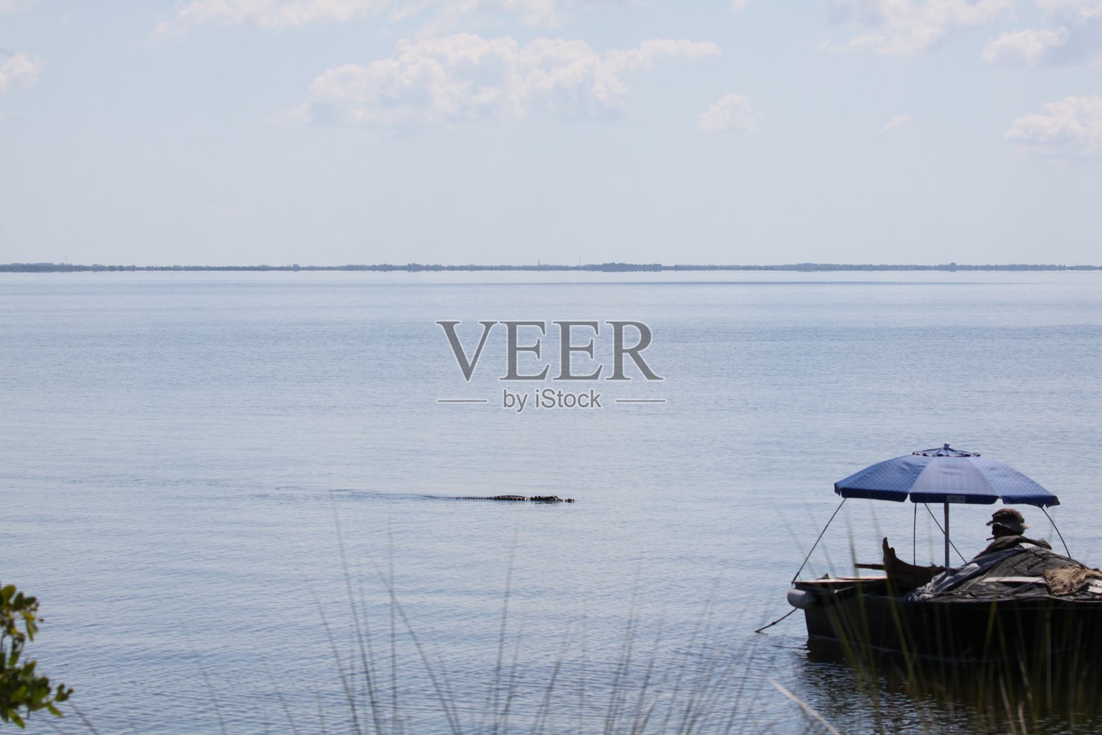 梅里特岛国家野生动物保护区-黑点照片摄影图片