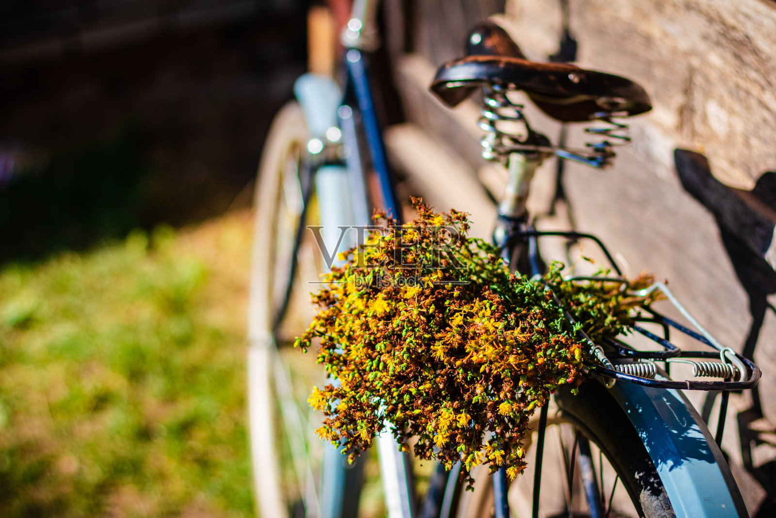 在阳光明媚的日子里，自行车上有一束黄色的花照片摄影图片