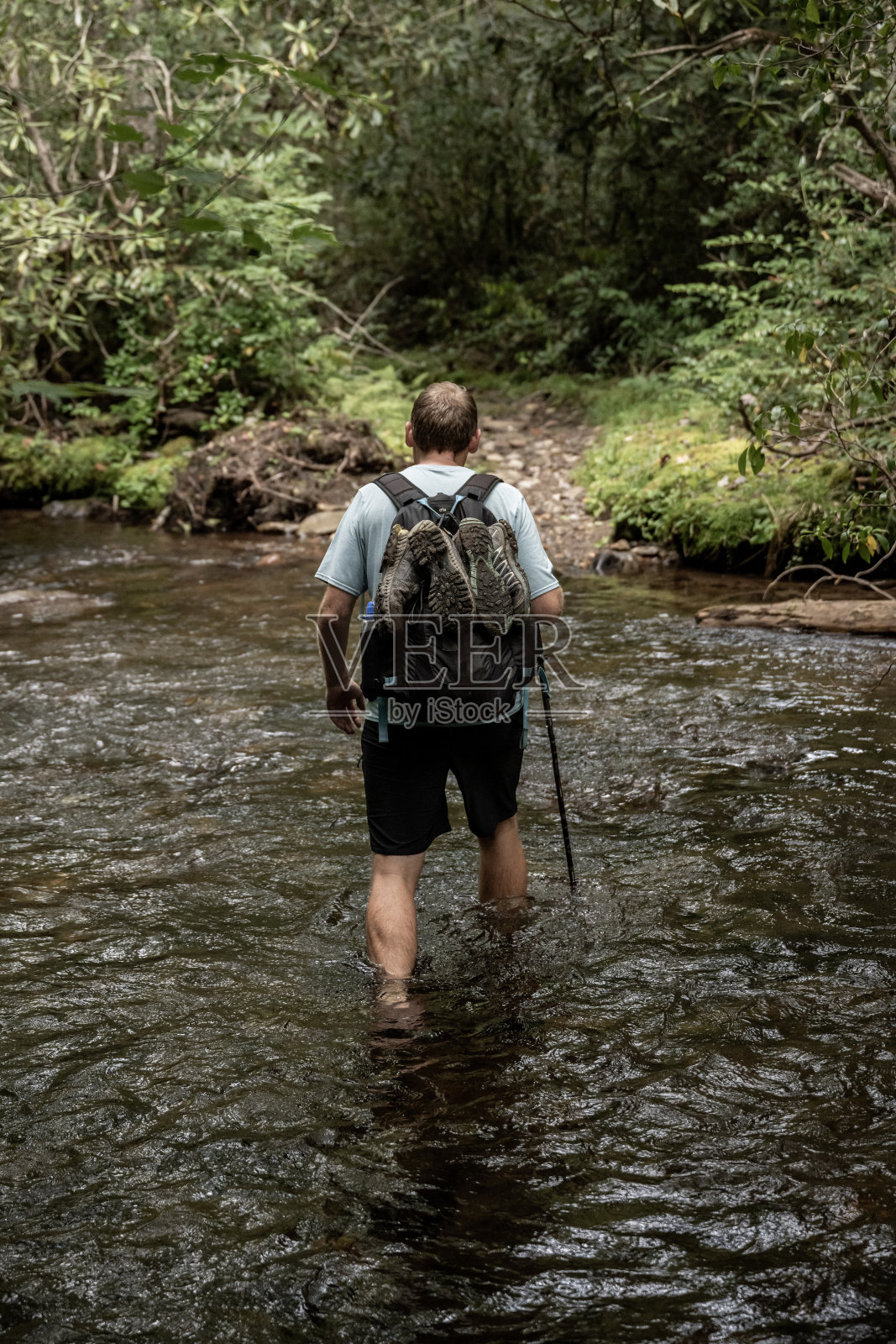 曼福德小腿深溪照片摄影图片
