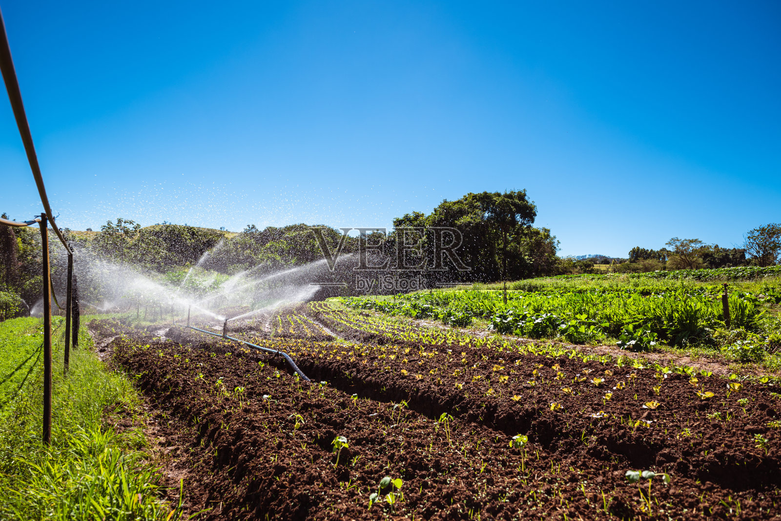 有机农田灌溉系统照片摄影图片