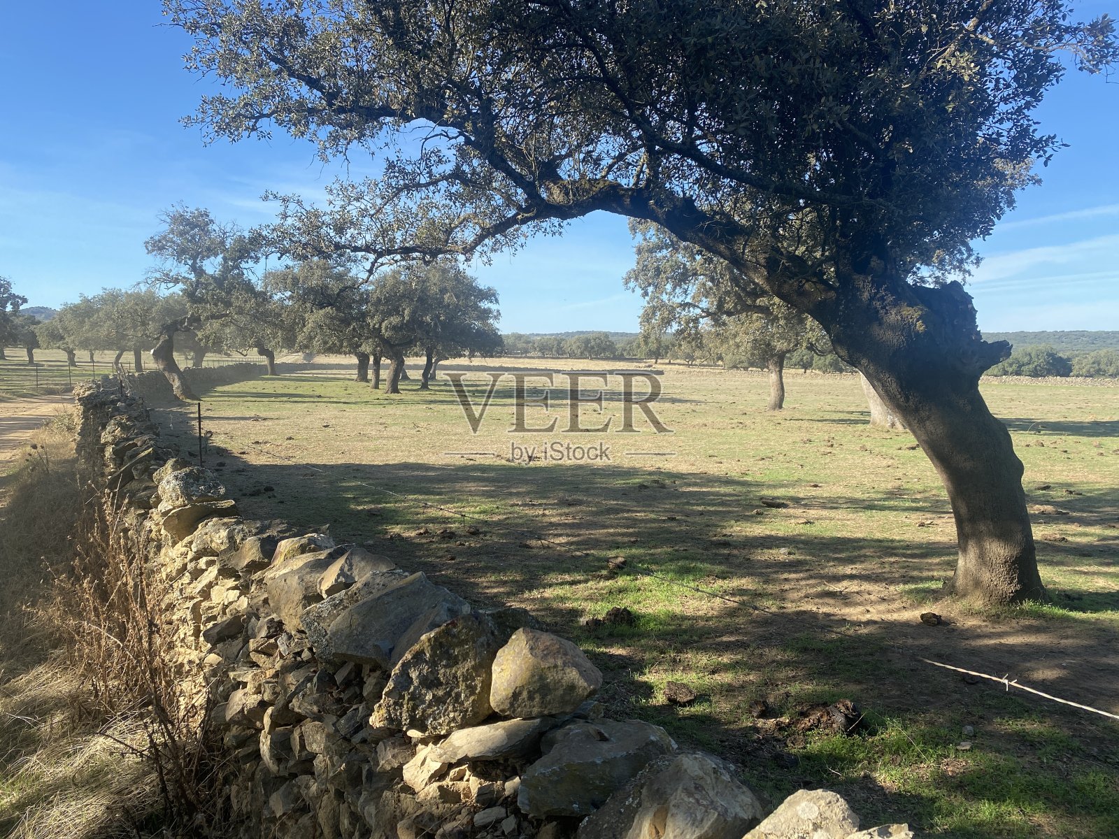 西班牙南部的圣詹姆斯路照片摄影图片