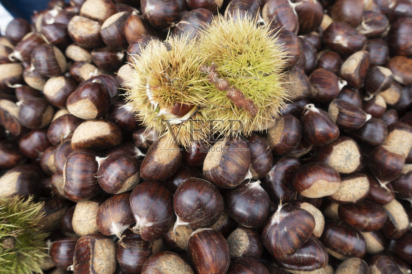 栗子照片摄影图片