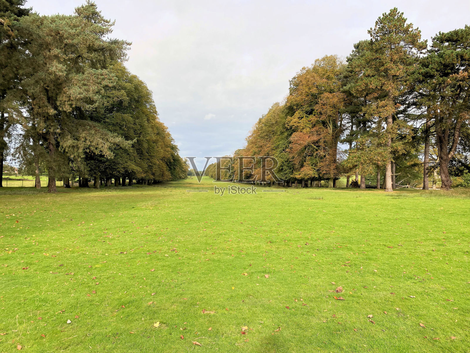 柴郡乡村的景色照片摄影图片