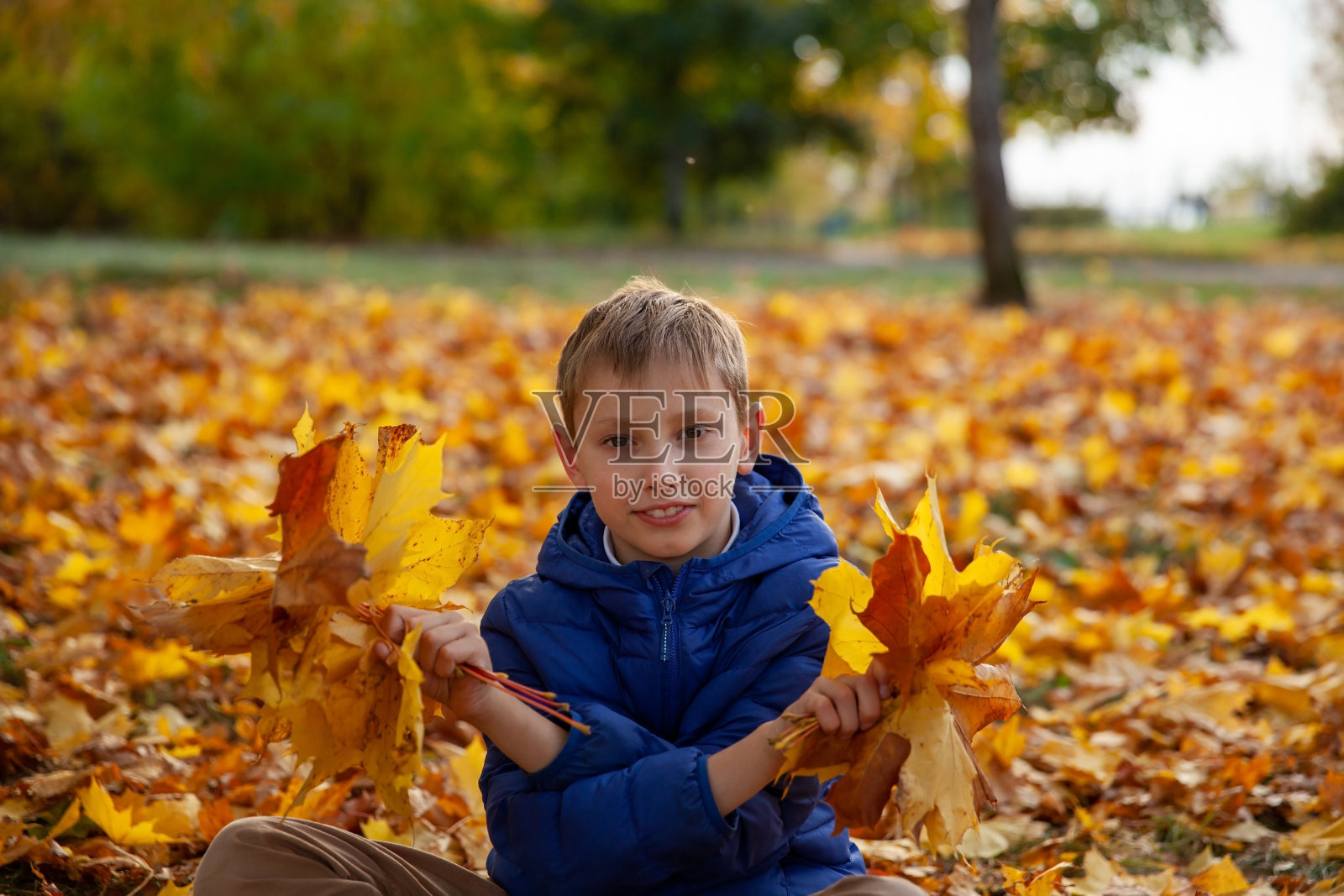 小男孩在秋天的公园里散步。秋叶儿童概念。照片摄影图片