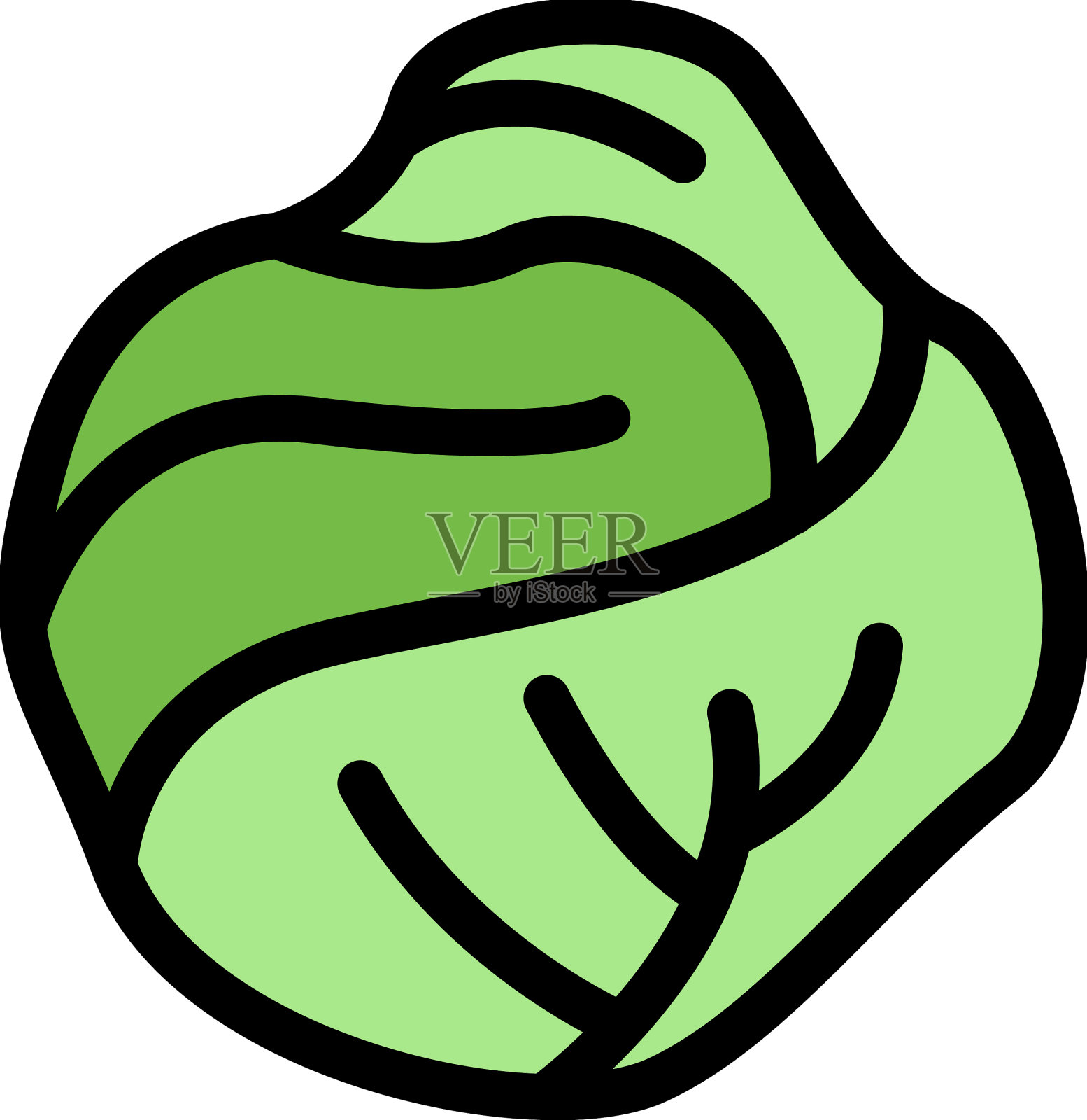 生物卷心菜图标颜色轮廓插画图片素材