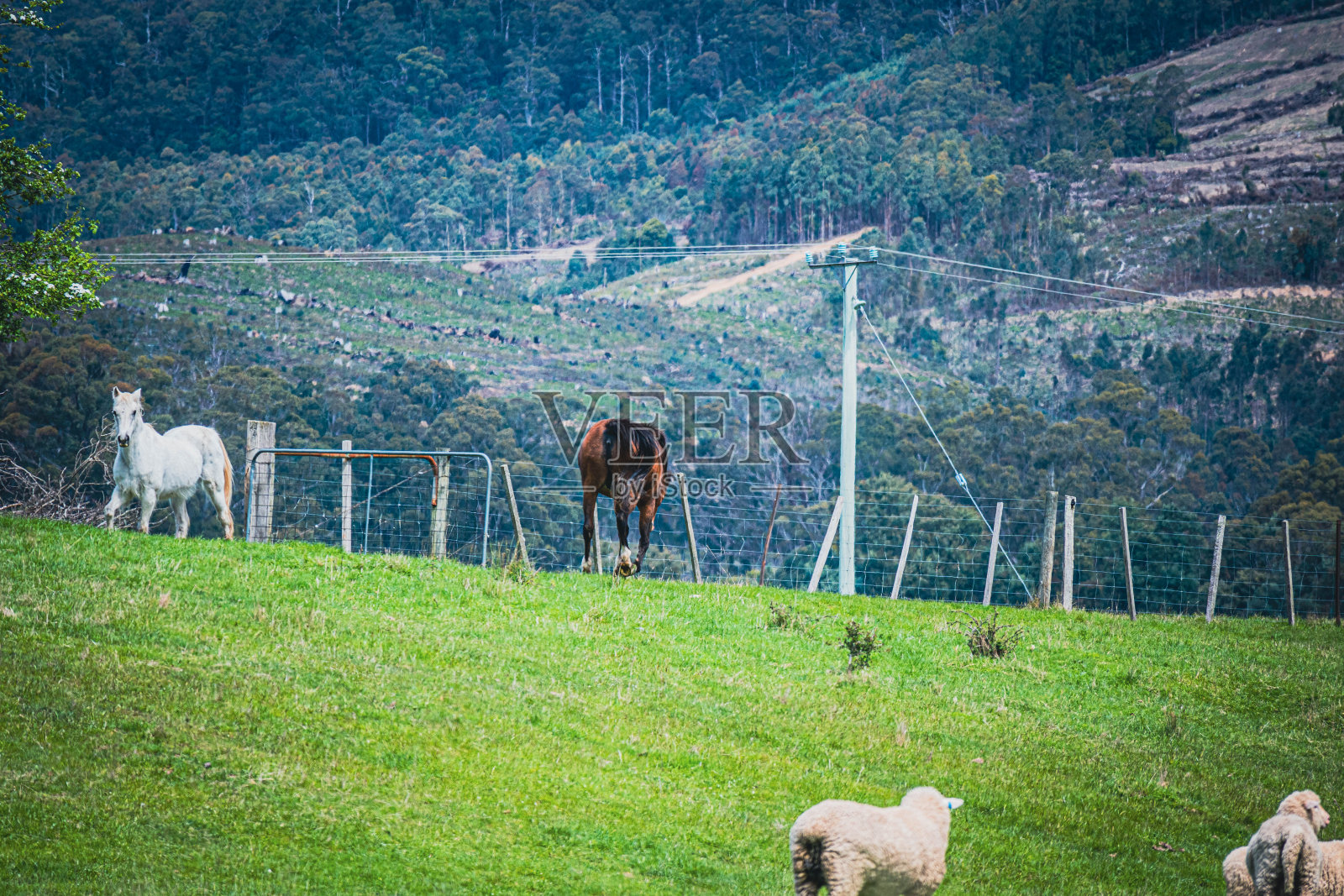 朋友照片摄影图片