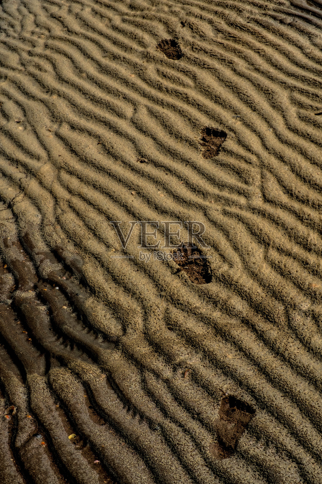 夏天，比利时北海的泽布吕日美丽的长滩照片摄影图片