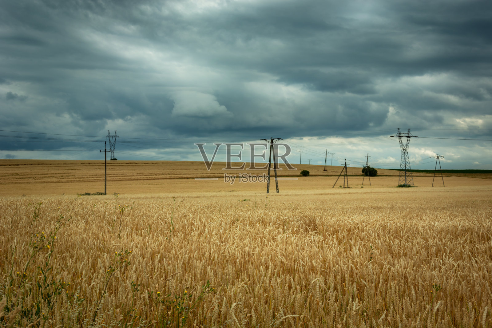 麦田里的电塔布满了谷物和雨云照片摄影图片