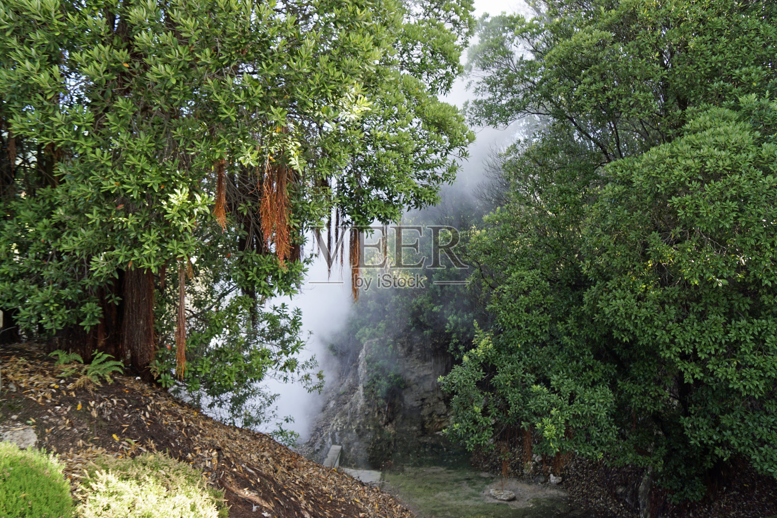亚速尔群岛的大自然照片摄影图片