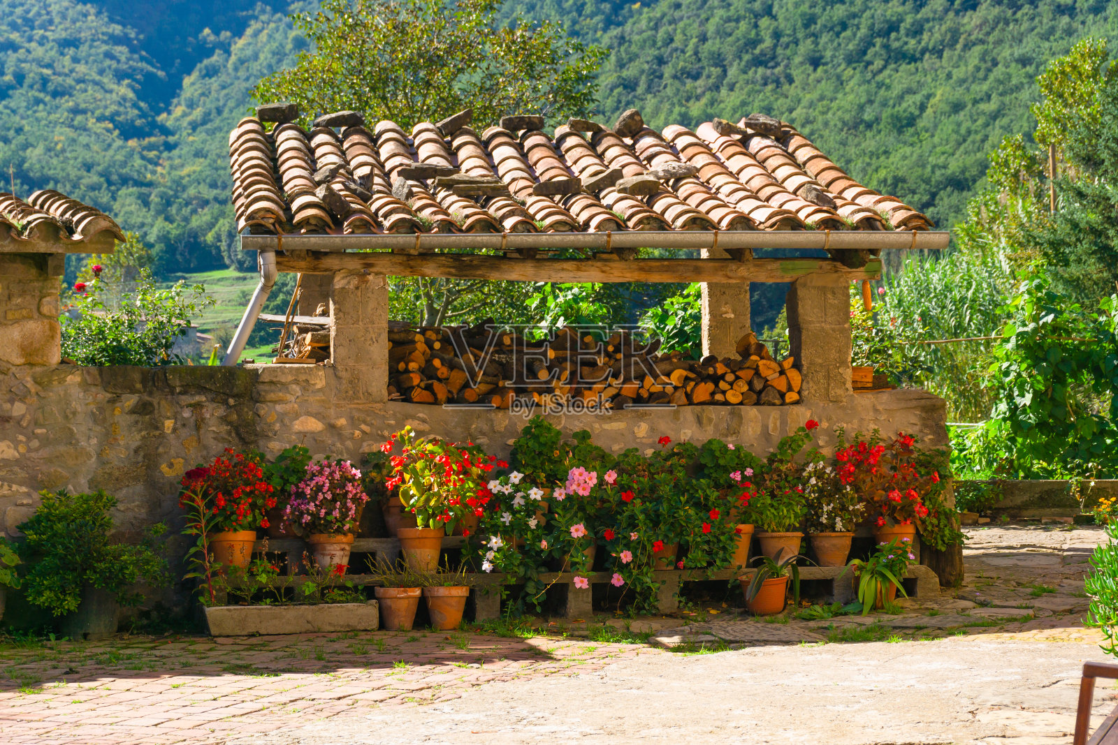 农场里的瓦片屋顶上有劈开的木柴和盆栽植物照片摄影图片