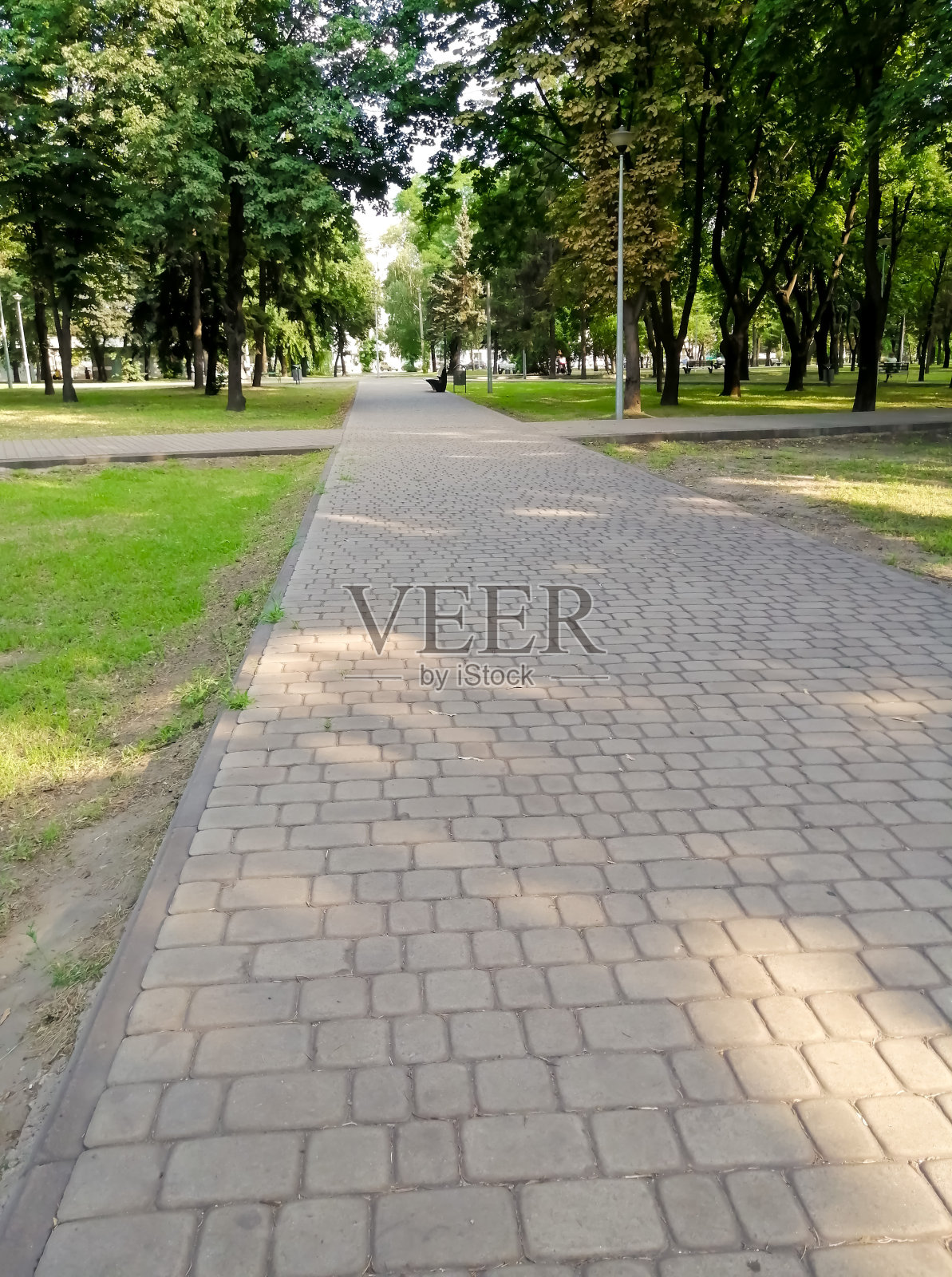 公园的小路上有一个十字，没有人照片摄影图片