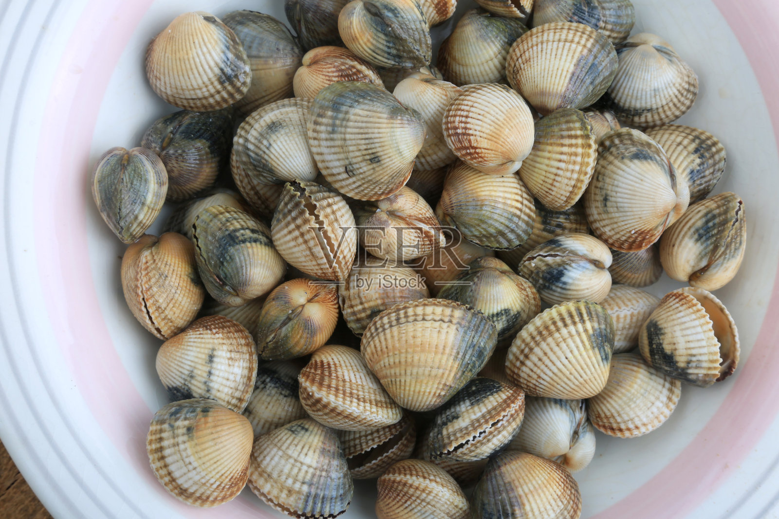 起皱照片摄影图片