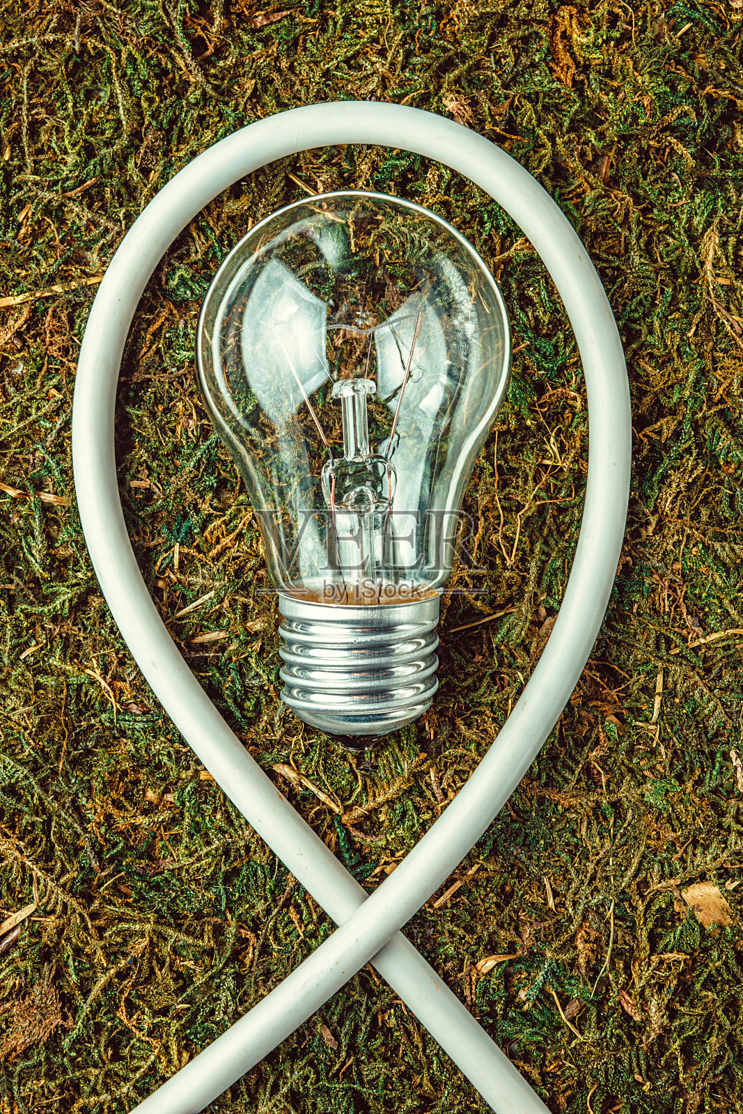 生态概念。灯泡在橙色的自然苔藓与复制空间照片摄影图片