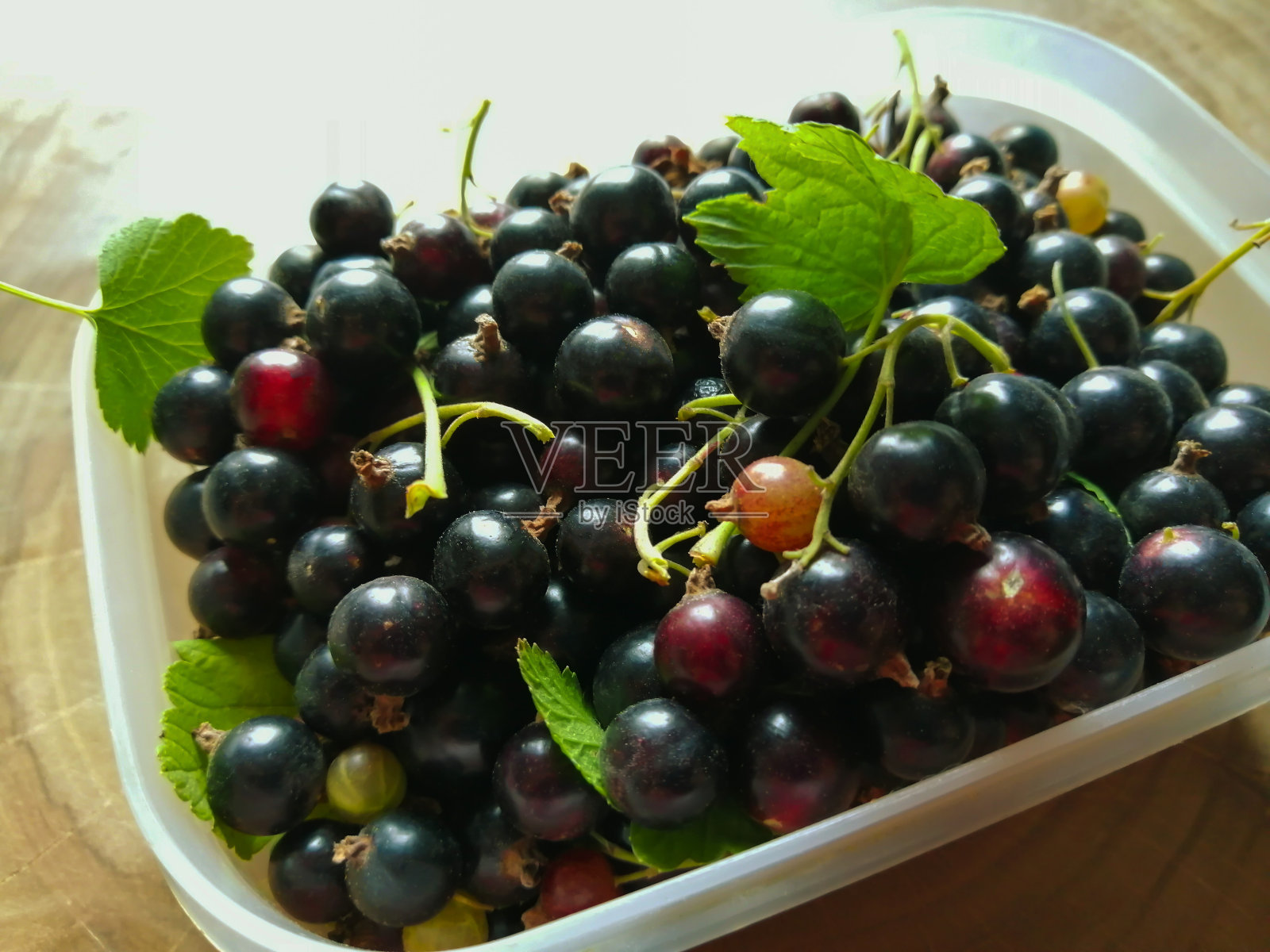 新鲜黑醋栗，塑料盒照片摄影图片
