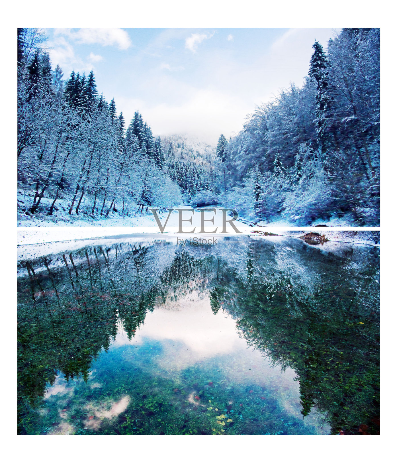 森林里的一个小湖上的一个冰冻的早晨照片摄影图片