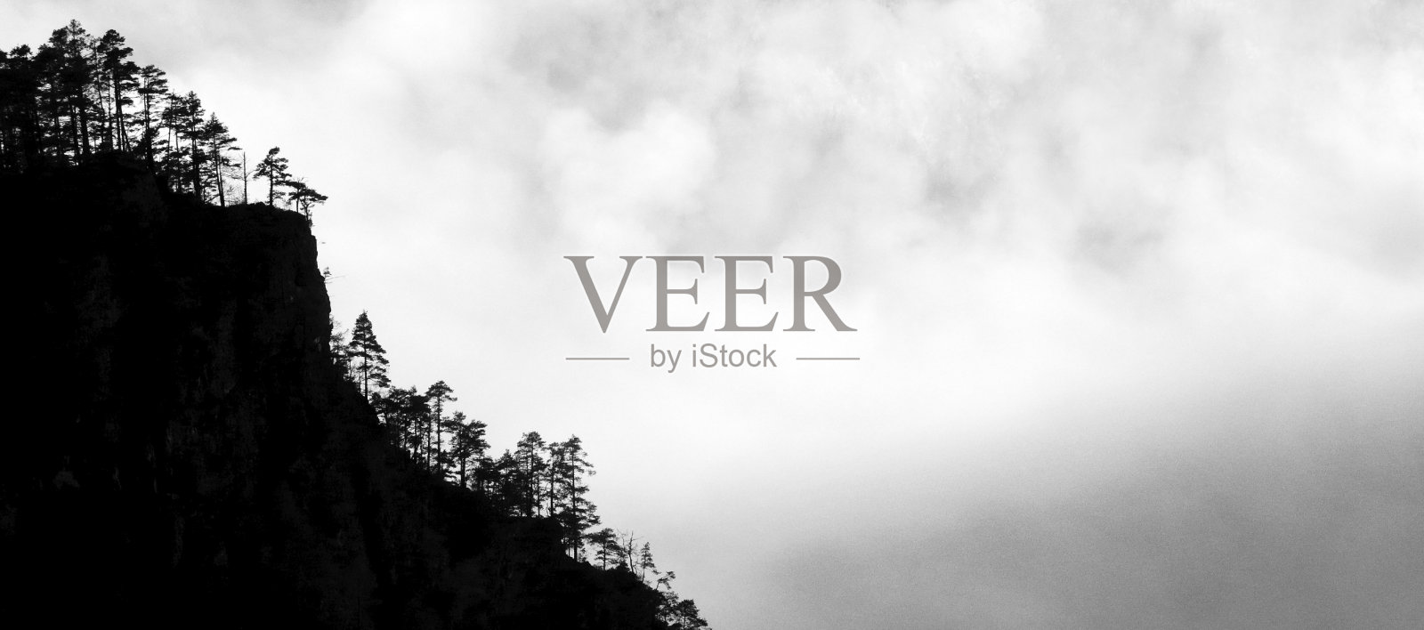 森林，雾和云在黑色和白色照片摄影图片