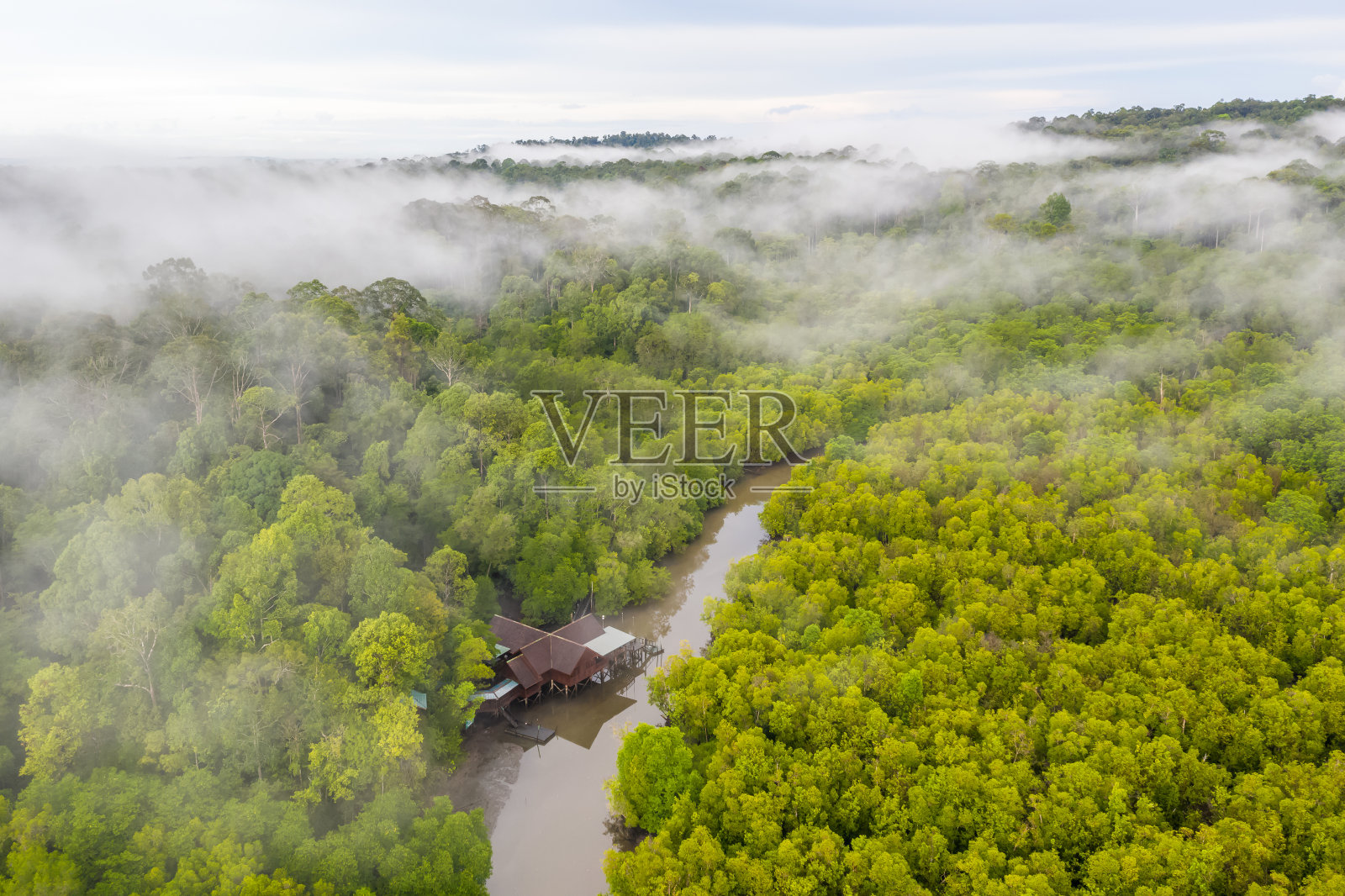红树林鸟瞰图照片摄影图片