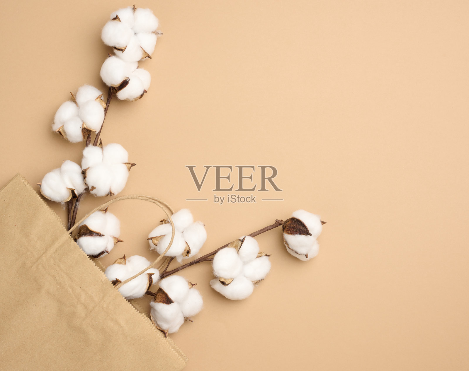 棕色纸袋和浅棕色背景上有棉花花的树枝，照片摄影图片