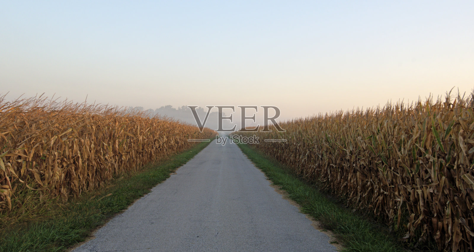 雾蒙蒙的早晨，乡间小路——印第安纳州霍华德县照片摄影图片