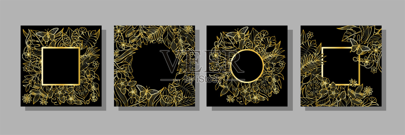 热带金花和植物框架设置插画图片素材