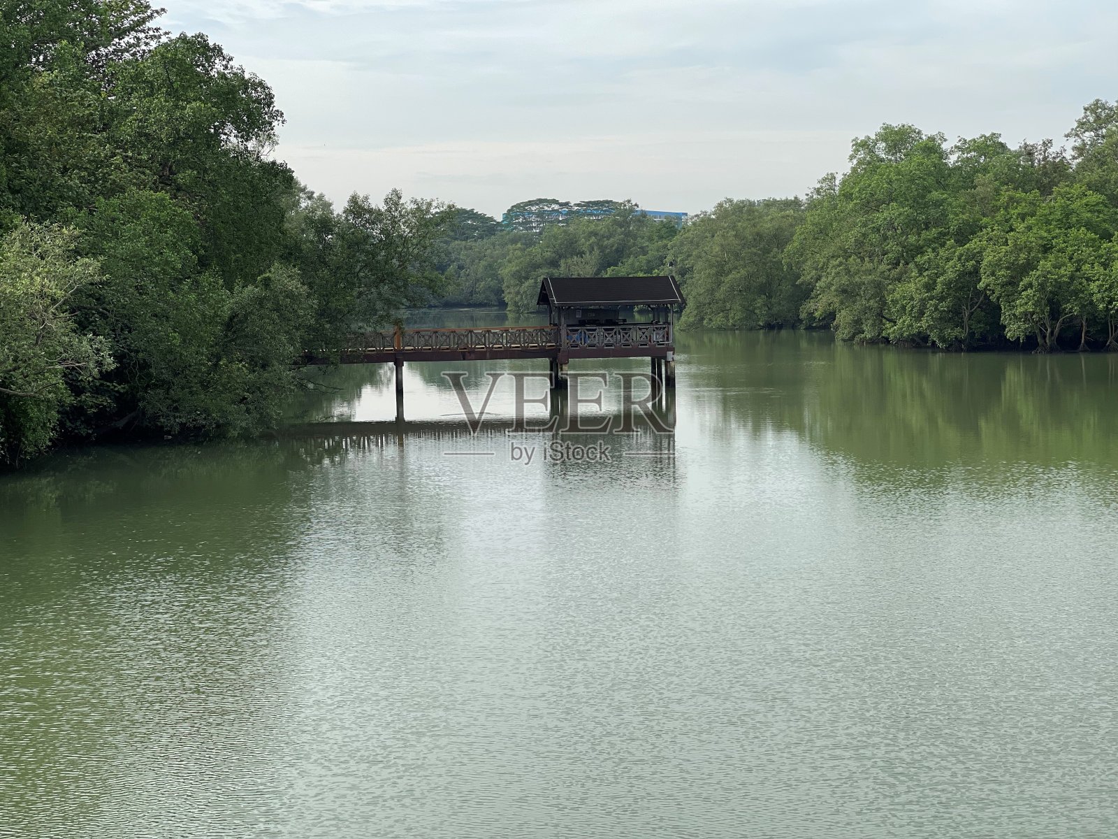 美丽的湖和绿色的风景照片摄影图片