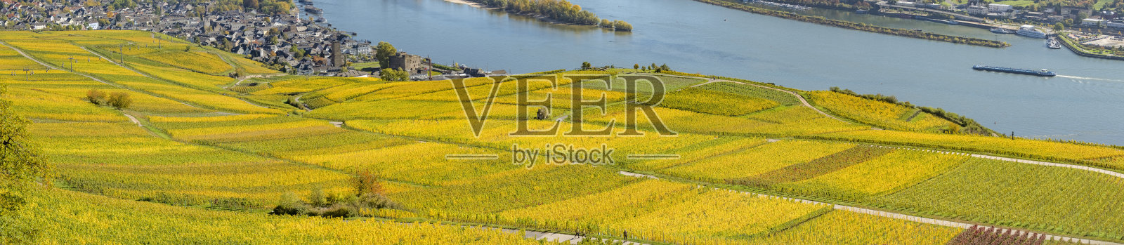 温伯格照片摄影图片