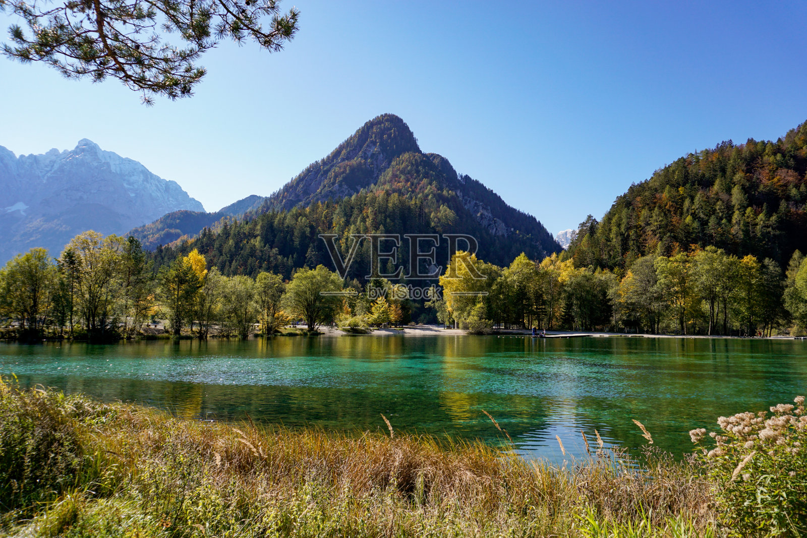 贾斯纳湖的森林和山景在美丽的秋天色彩照片摄影图片