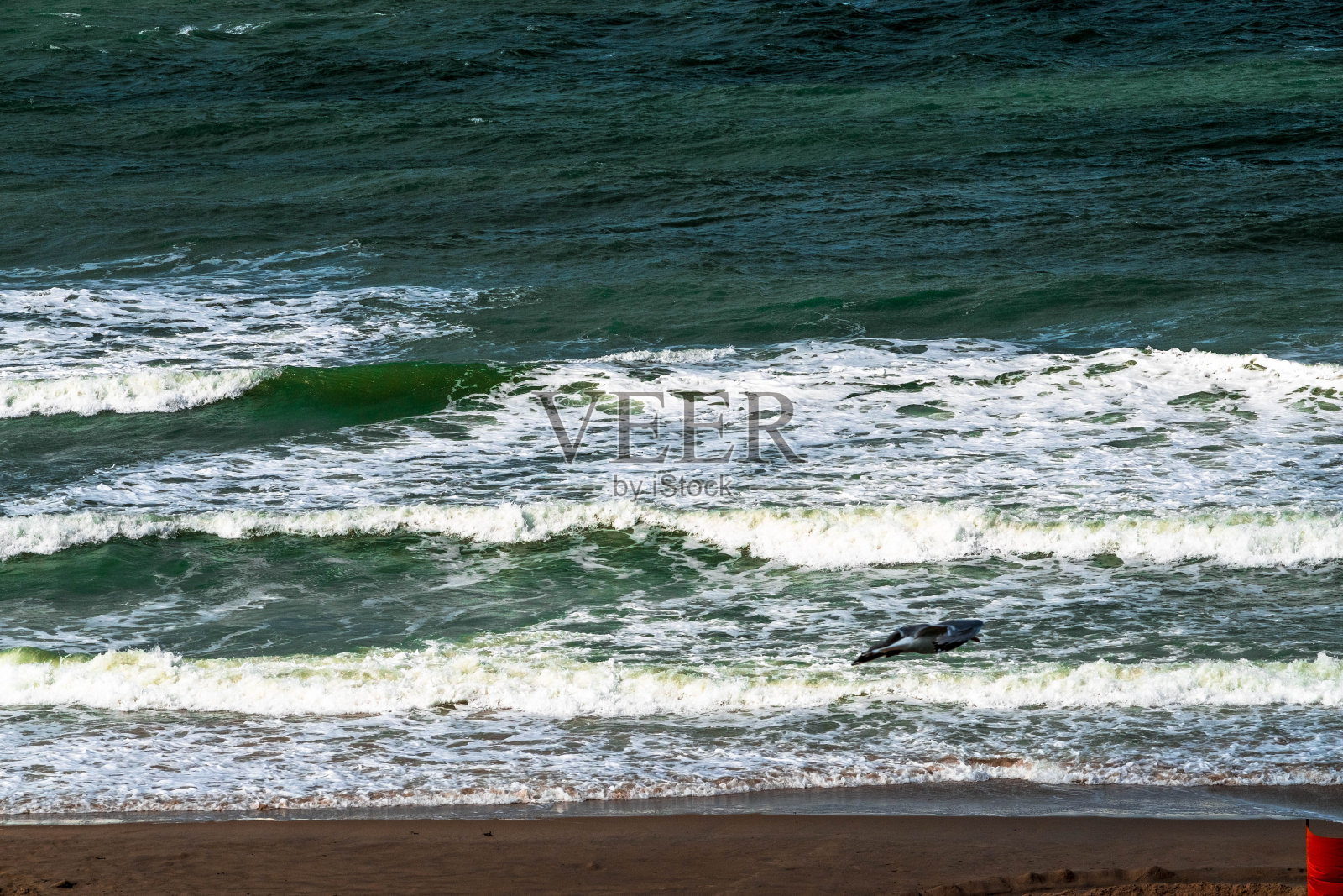 强风天荷兰北海的多姆堡海滩照片摄影图片