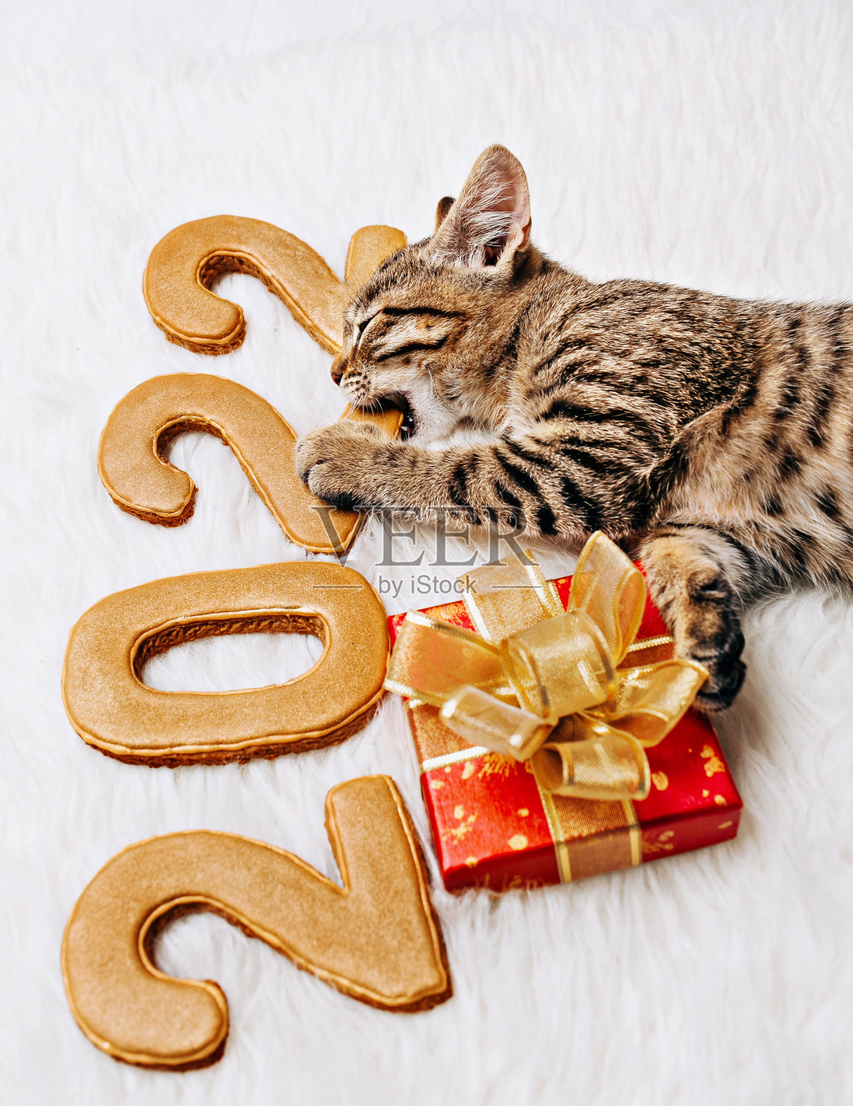 一只小猫戴着圣诞帽，站在2022年的圣诞面包数字中间，爪子里还拿着一个礼品盒照片摄影图片