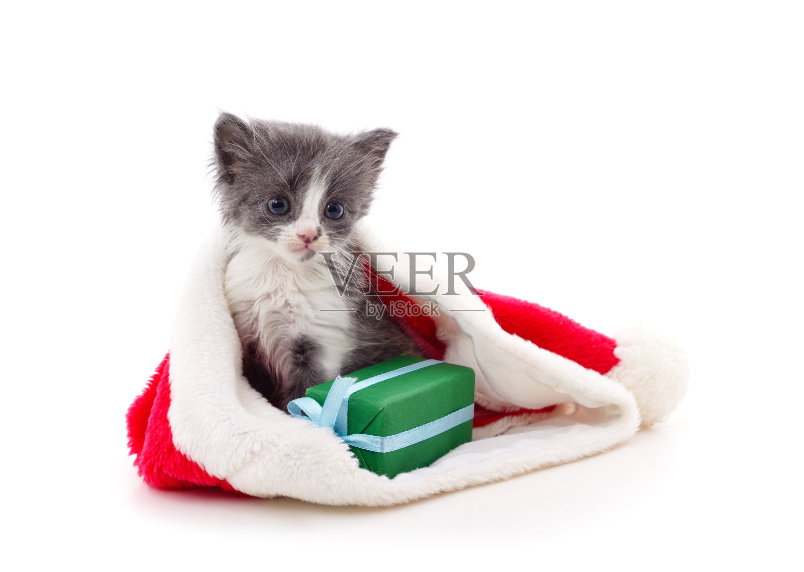 小猫戴着圣诞帽，手里拿着礼物。照片摄影图片
