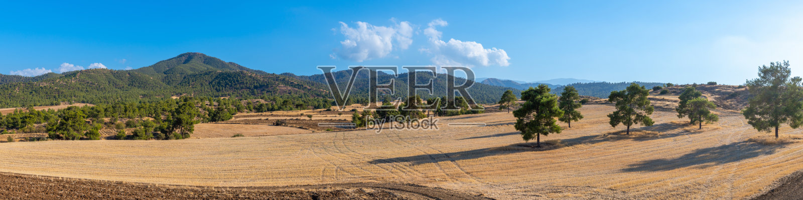塞浦路斯山脉背景下的农田照片摄影图片