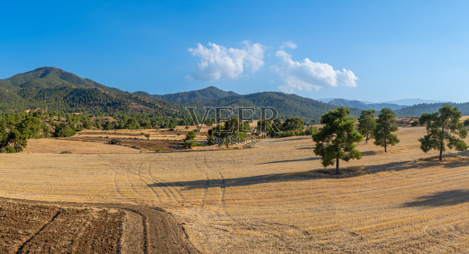 塞浦路斯山脉背景下的农田照片摄影图片