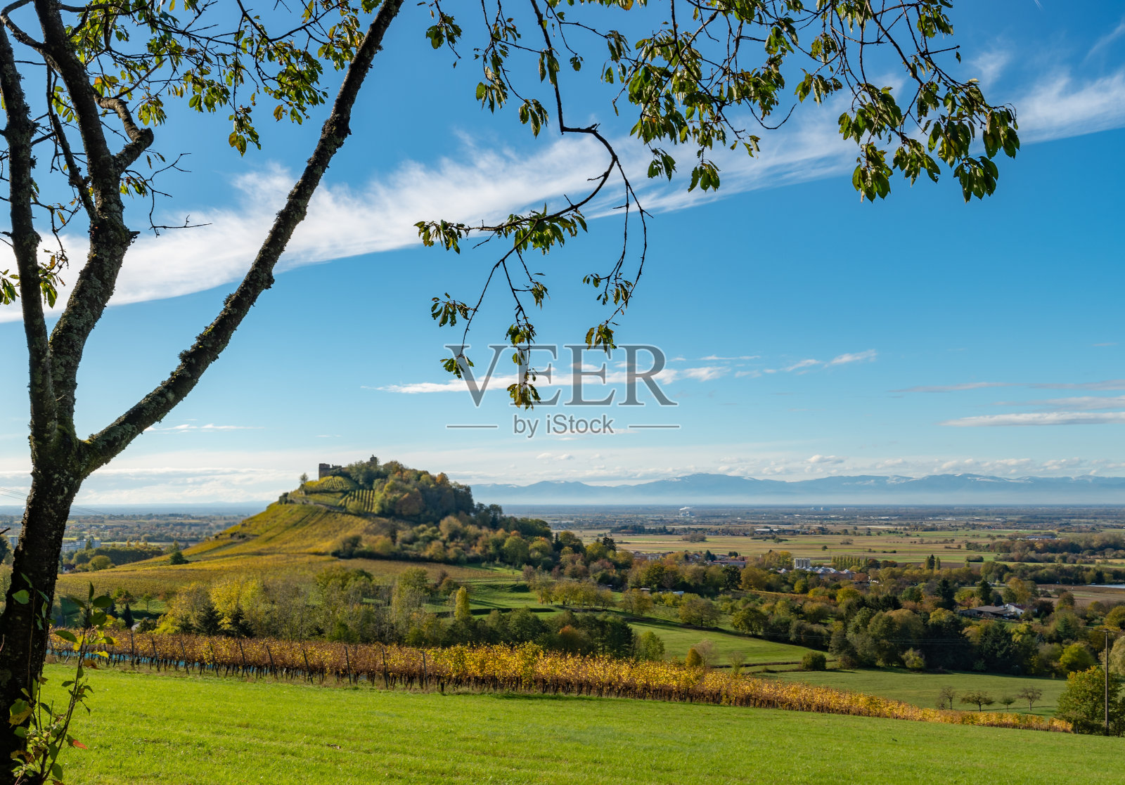 德国布兰照片摄影图片