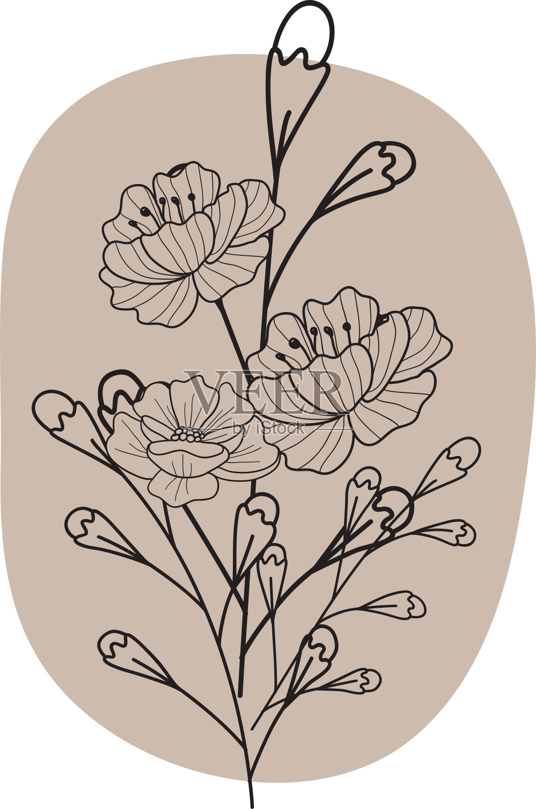 花圈植物安排装饰装饰品保存日期邀请插画图片素材