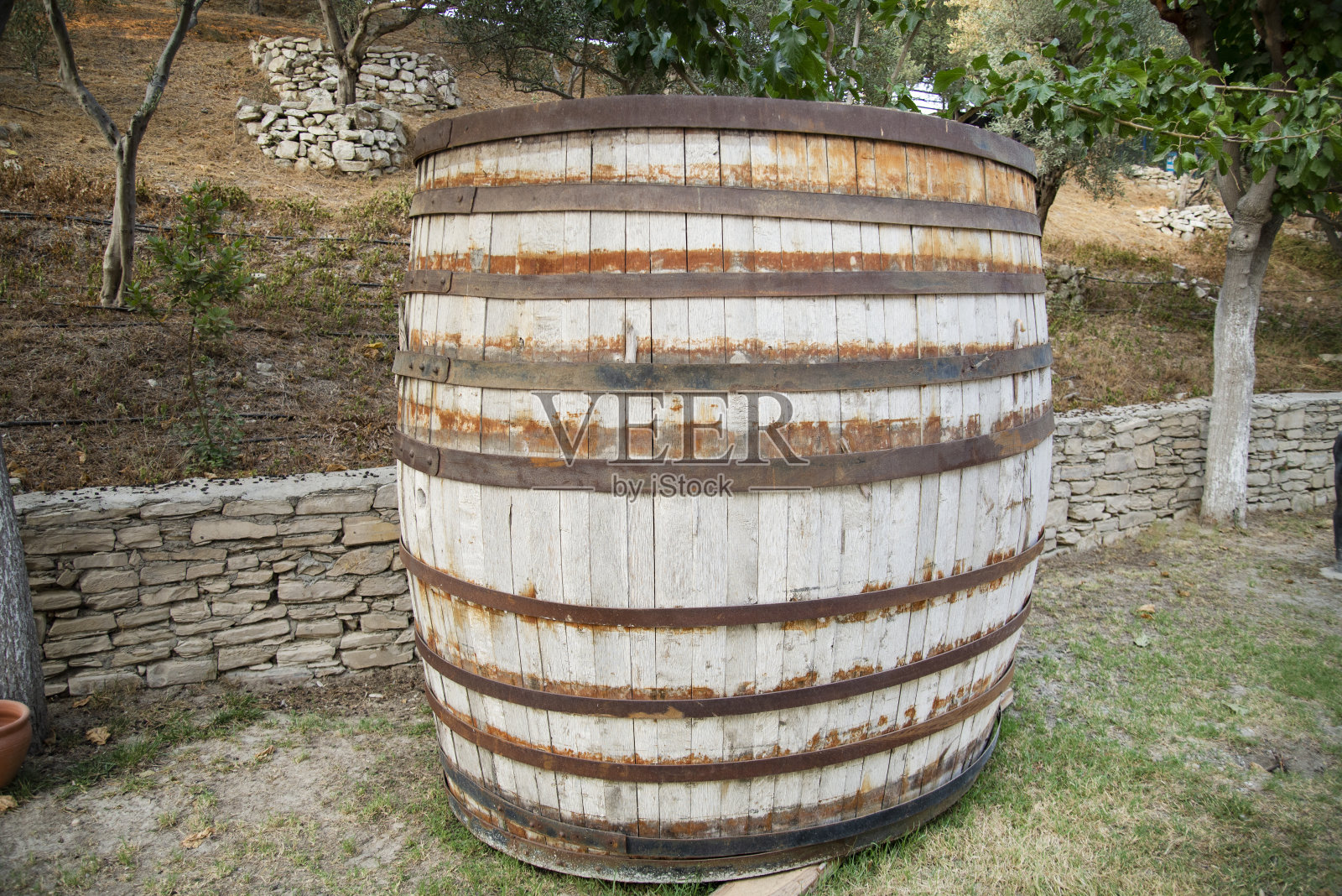 旧式木桶伫立在花园中照片摄影图片