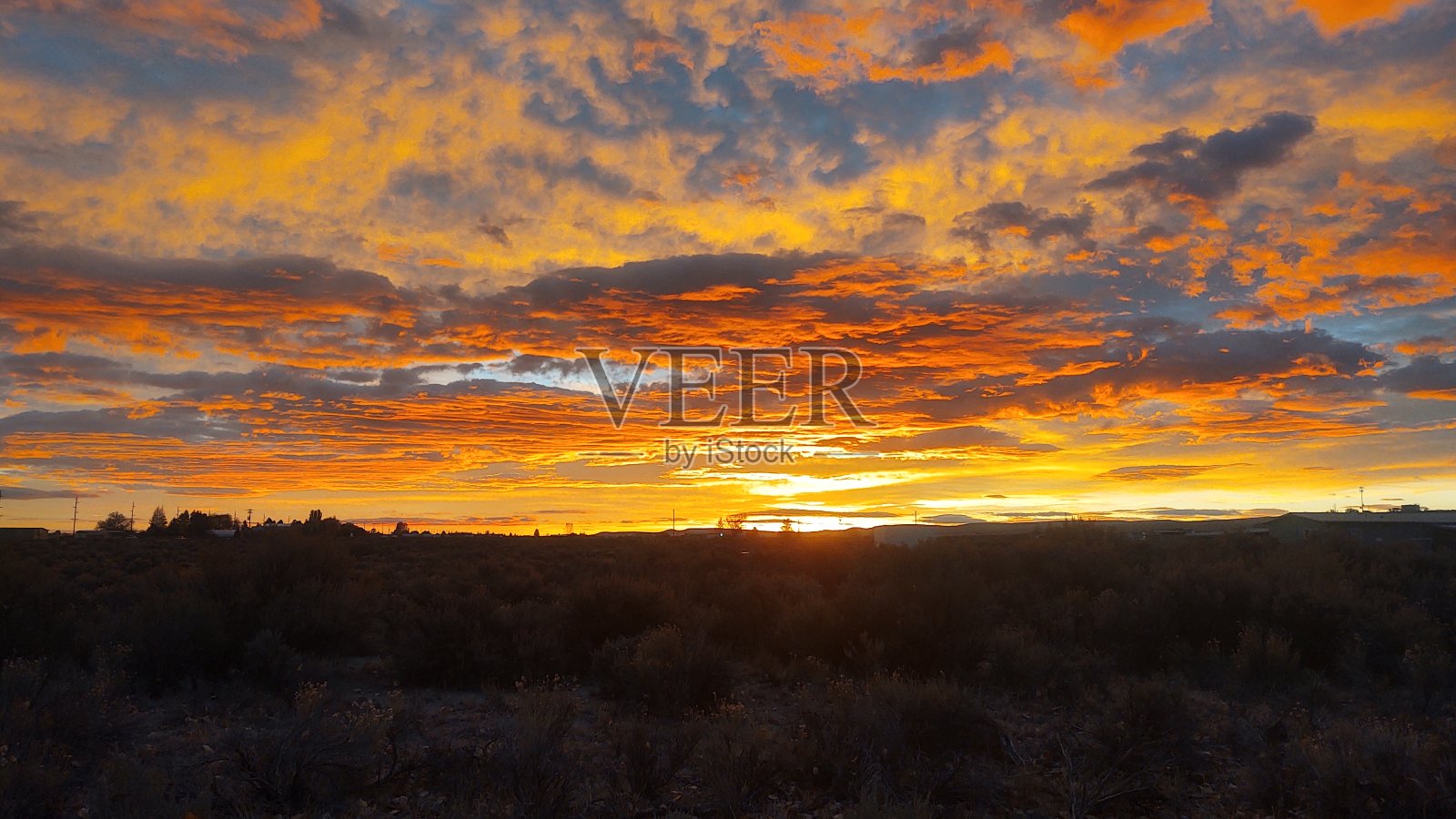 早上的大设计照片摄影图片