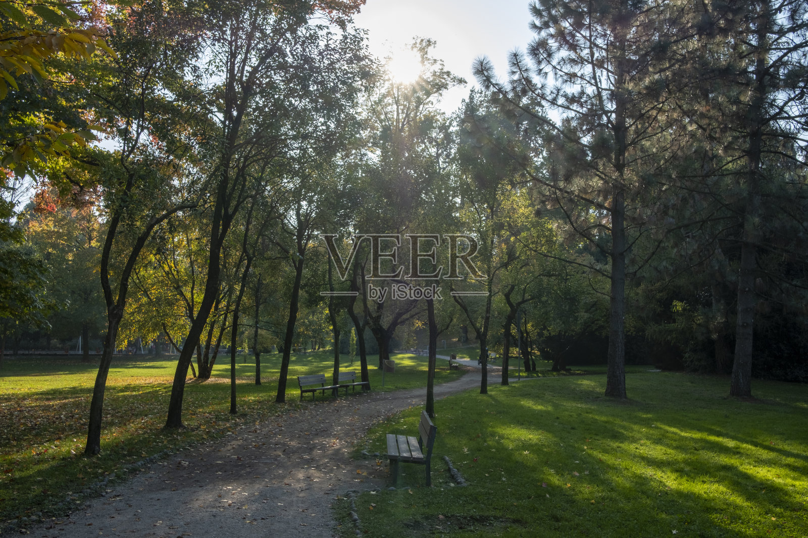 公园在秋天照片摄影图片